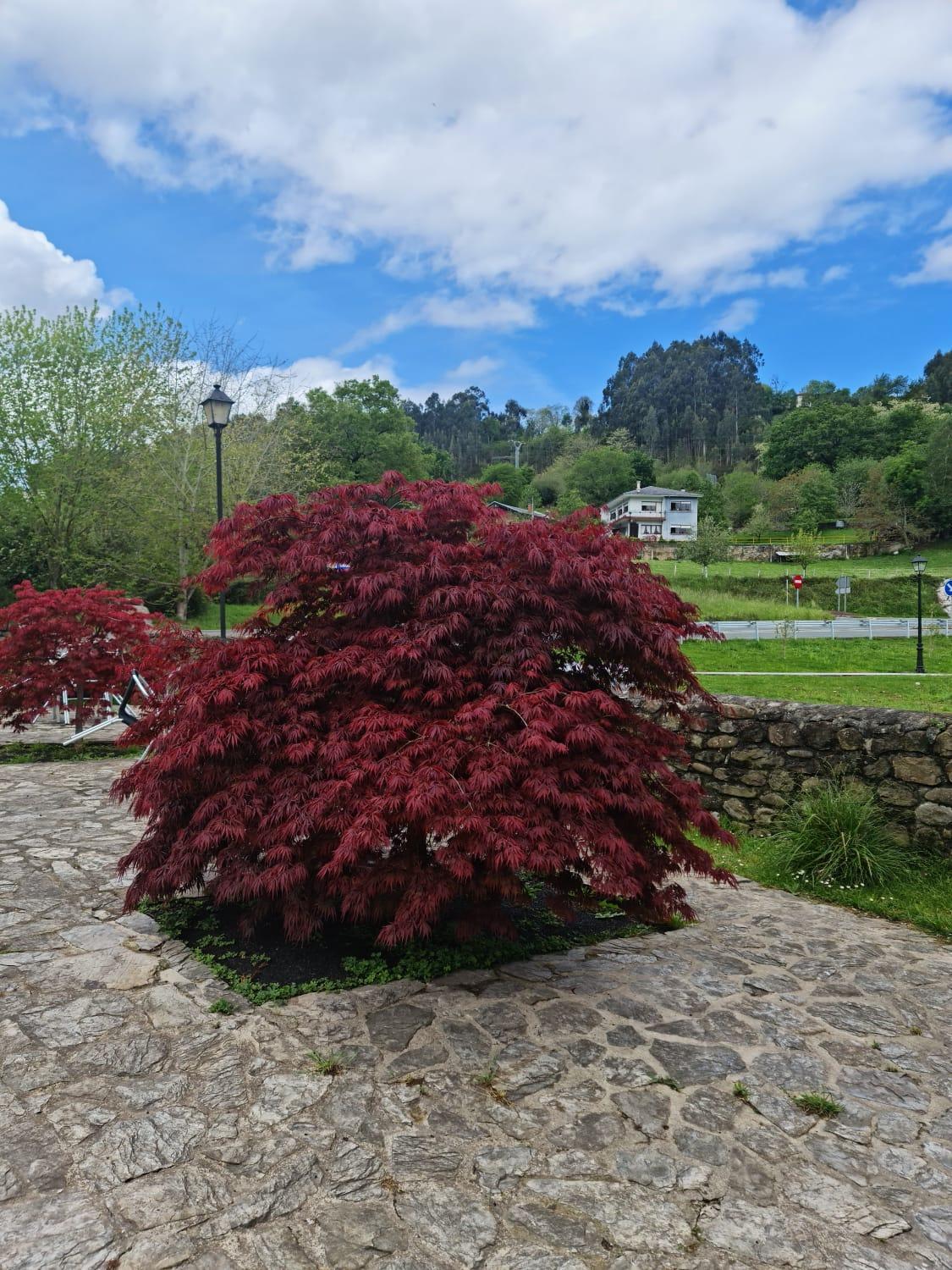 Posada Las Mozas Ríocorvo Exterior foto